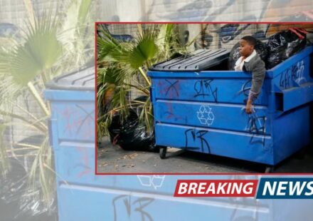 Is It Illegal to Dumpster Dive in Boston? Here’s What the Law Says
