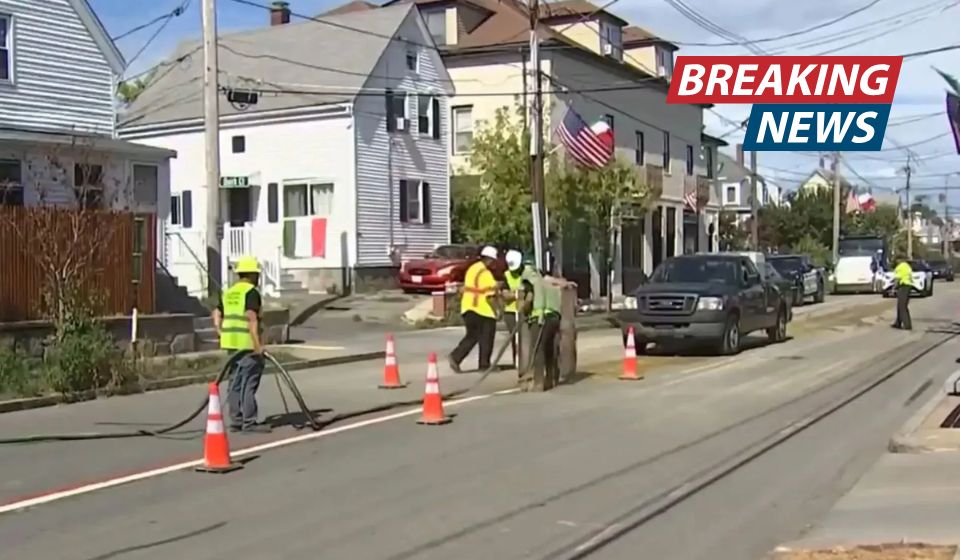 Three new colors added to central road markings as Americans in US state say goodbye to iconic yellow design