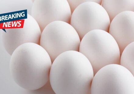Marblehead Candy Shop Hit by Egg Attack — Owner Suspects Flags Were the Reason