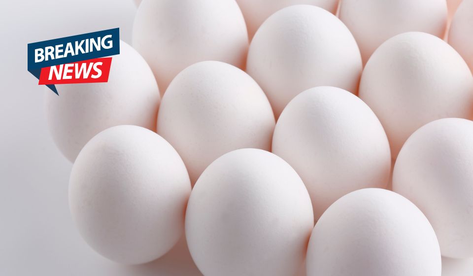 Marblehead Candy Shop Hit by Egg Attack — Owner Suspects Flags Were the Reason