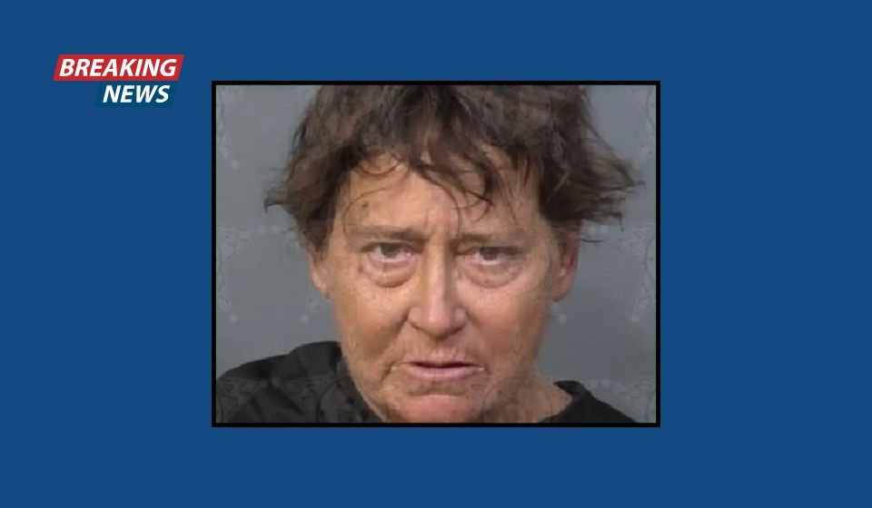 'I did try to run your f—ing children over': Terrified kids scatter as woman allegedly swerves car at them, tells cops they were 'target practice'