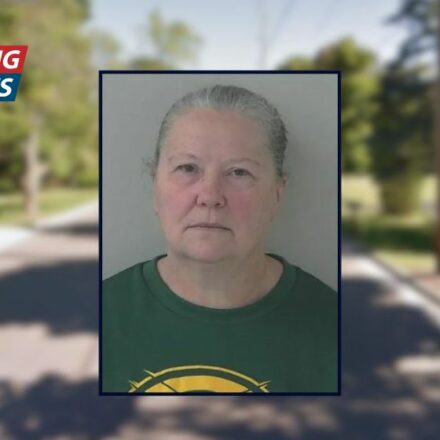 'You can charge me now': Woman had a celebratory sundae after torching her ex-boyfriend's 'beloved' barn upon learning he was chatting up another woman, police say