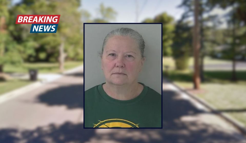 'You can charge me now': Woman had a celebratory sundae after torching her ex-boyfriend's 'beloved' barn upon learning he was chatting up another woman, police say