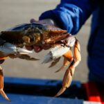 Banning hunting, fishing, livestock harvesting in Oregon is idiotic