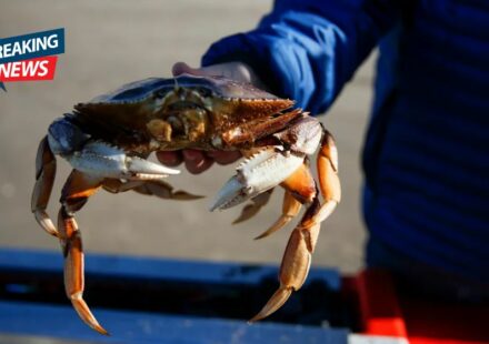Banning hunting, fishing, livestock harvesting in Oregon is idiotic
