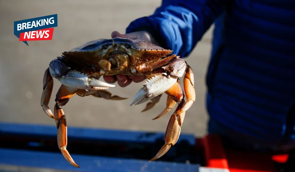 Banning hunting, fishing, livestock harvesting in Oregon is idiotic