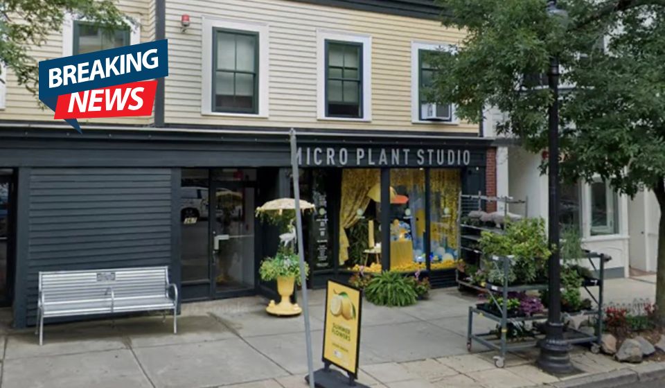 Caught on Camera: Vandals Target Pride Sign Outside Popular Boston Business