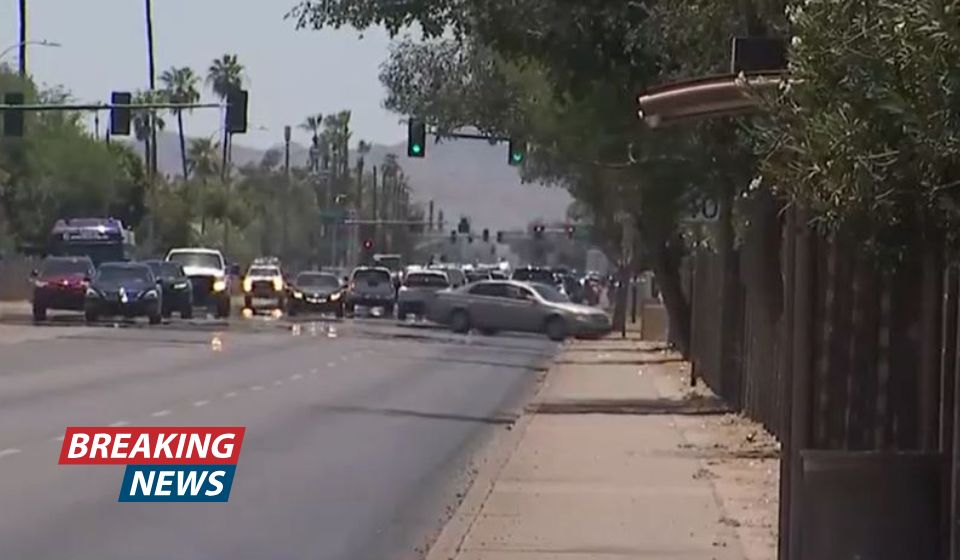 72-year-old woman walking to bus stop mowed down by drunk driver who left her 'laying in the street to die' because he was terrified: Police