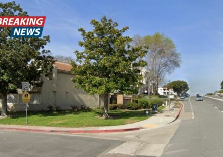 'Awkward positioning': 81-year-old mom found brutally stuffed in pullout couch face-first after being left there and ignored for hours by her daughters until she died, police say