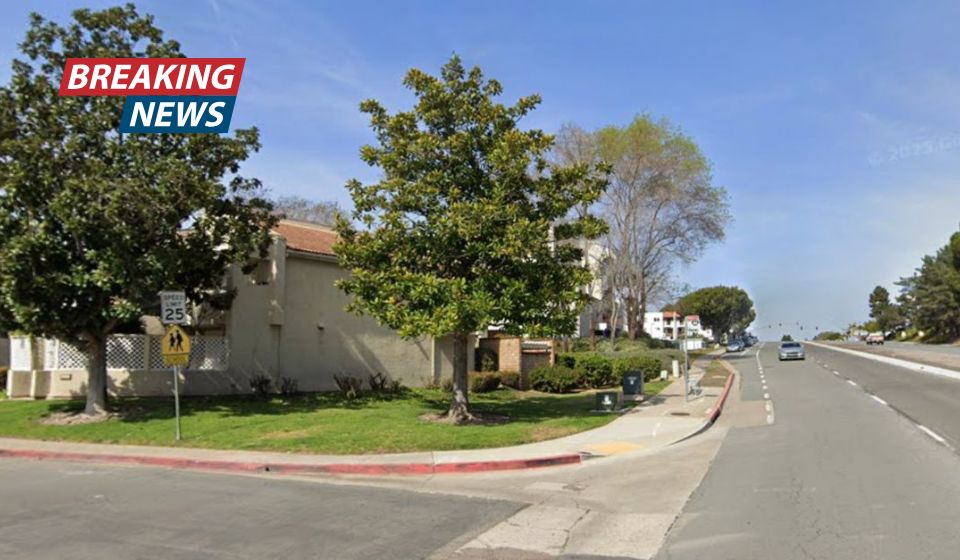 'Awkward positioning': 81-year-old mom found brutally stuffed in pullout couch face-first after being left there and ignored for hours by her daughters until she died, police say