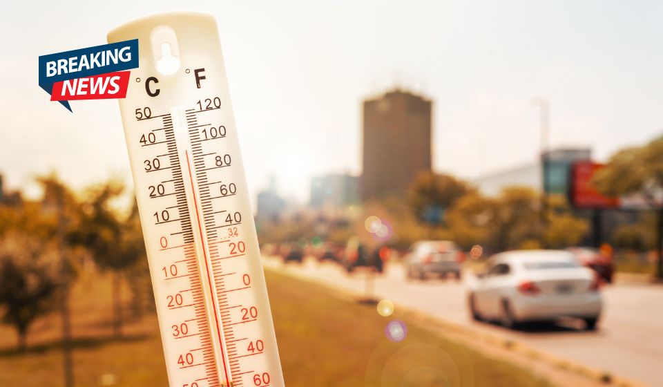 Second Heatwave May Hit Essex Within Days, Forecasters Warn