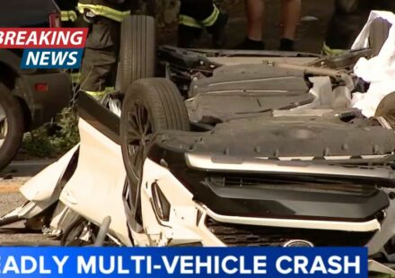 'He's dead': Man seeing red after fight with mother takes 'anger out' on Toyota RAV4, sends it airborne into crowd, witnesses say