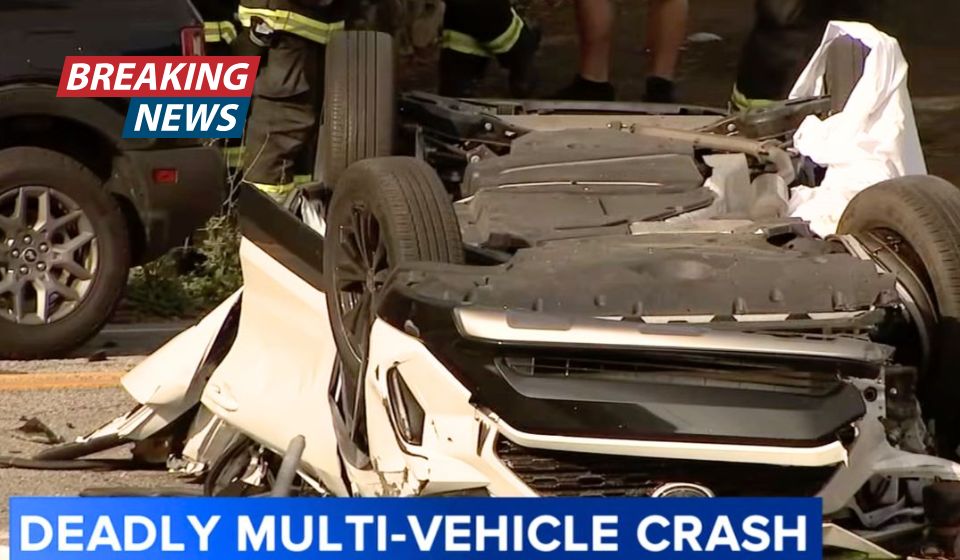 'He's dead': Man seeing red after fight with mother takes 'anger out' on Toyota RAV4, sends it airborne into crowd, witnesses say