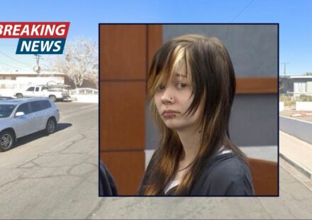 Woman 'disgusted' at being labeled 'girlfriend' shoots admirer dead as he takes Polaroids of her
