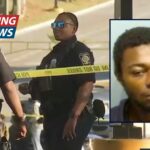 Man stood over 66-year-old great-grandma as she bled out after he stabbed her 18 to 20 times on commuter train in unprovoked attack: Cops