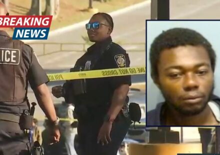 Man stood over 66-year-old great-grandma as she bled out after he stabbed her 18 to 20 times on commuter train in unprovoked attack: Cops