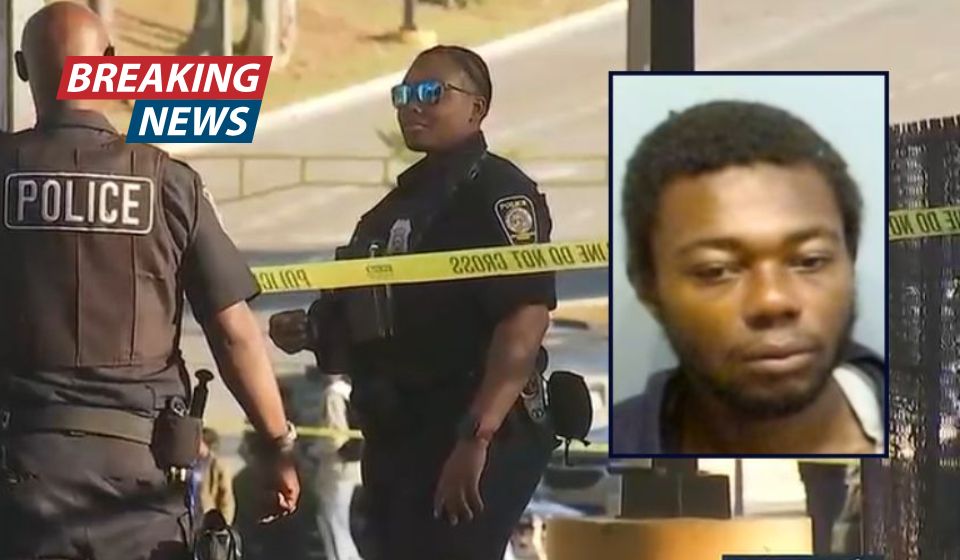 Man stood over 66-year-old great-grandma as she bled out after he stabbed her 18 to 20 times on commuter train in unprovoked attack: Cops