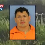 'Wildlife may just be cooperating with law enforcement': Man tries to escape cops by jumping into a swamp, where he is attacked by a massive alligator, police say