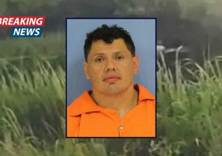 'Wildlife may just be cooperating with law enforcement': Man tries to escape cops by jumping into a swamp, where he is attacked by a massive alligator, police say