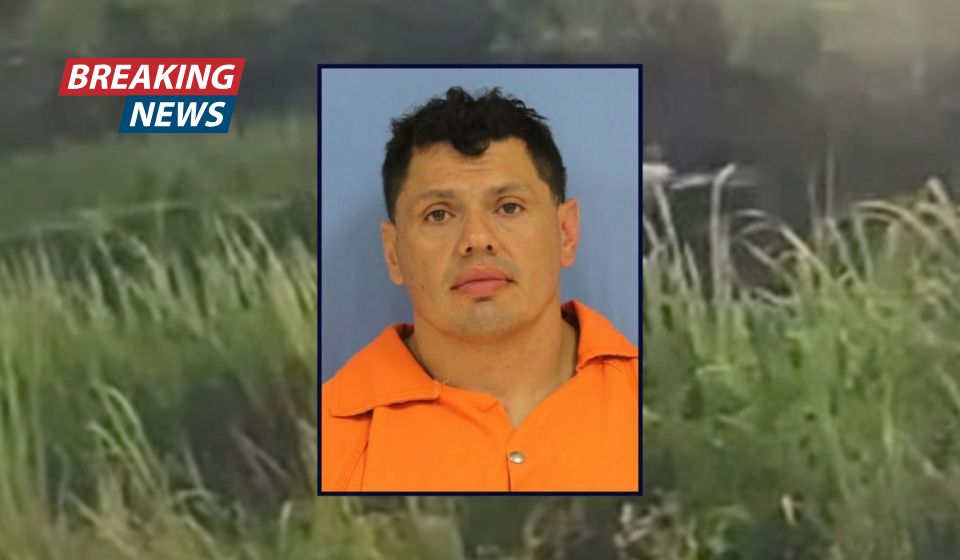 'Wildlife may just be cooperating with law enforcement': Man tries to escape cops by jumping into a swamp, where he is attacked by a massive alligator, police say