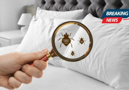 Insect Invasion: 5 Ohio Cities Combatting Bed Bug Onslaught